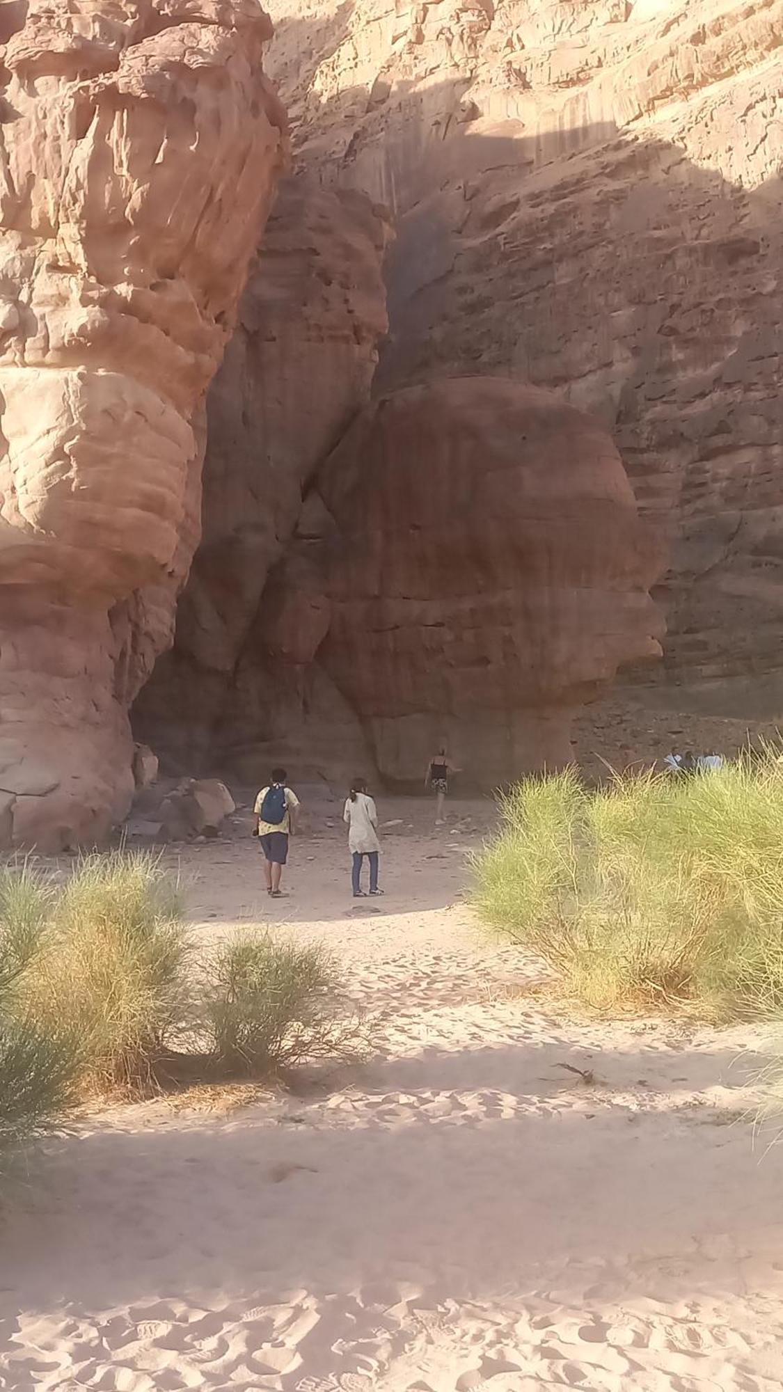 Wadi Mohammed *