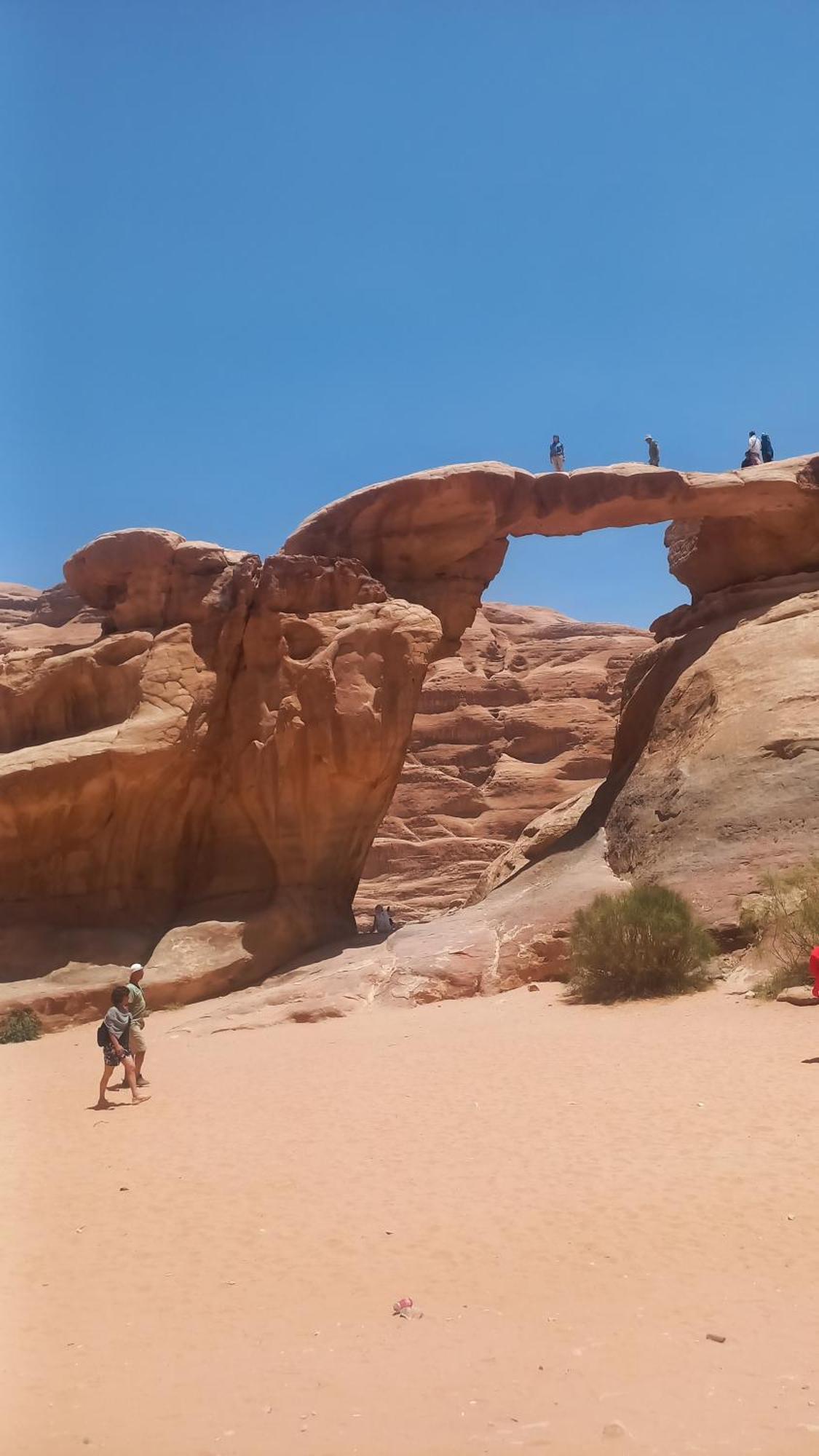 Wadi Mohammed
