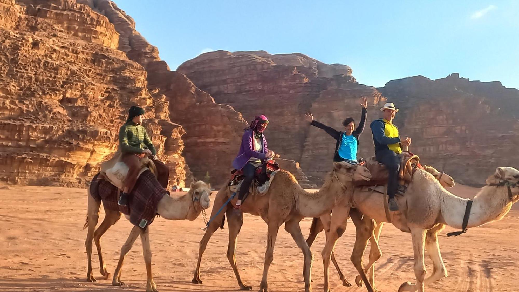 Wadi Mohammed *